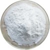 Calcium Phosphate Dibasic or Dicalcium Phosphate Manufacturer Exporter