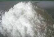 Diammonium Phosphate Ammonium Phosphate Dibasic Manufacturer